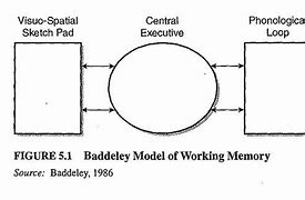 Image result for Alan Baddeley's Model of Working Memory