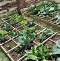 Image result for Square Foot Garden Grid Materials