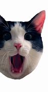Image result for Cat. Emoji Meme