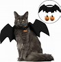 Image result for Scary Cat Costume