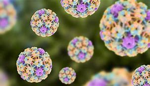 Image result for Female HPV Warts