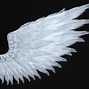 Image result for Extended Angel Wings