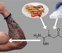 Image result for Creatine Body
