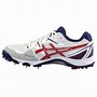 Image result for Cricket Shoes Asiscs