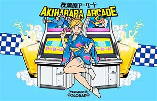 Image result for Akihabara Gaming