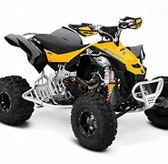 Image result for Can-Am DS 450