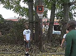 Image result for NBA Basketball Hoop