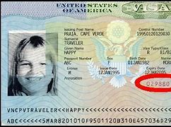 Image result for Visa Number Example