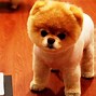 Image result for Awesome Cute Wallpapers