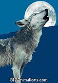 Image result for Wolf Microwave Drawer