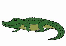 Image result for Crocodile Sceched Drawing