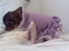 Image result for Small Dog Sweaters Chihuahua