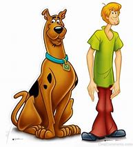 Image result for Shaggy Scooby Doo Mystery Incorporated