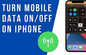 Image result for Turn Off Cellular Data iPhone