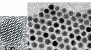 Image result for Tem Images for Quantum Dots