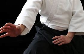 Image result for Aikido Stance