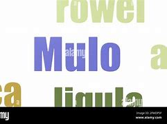 Image result for f�mulo