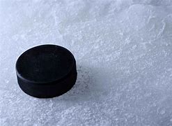 Image result for Hockey Puck On-Ice
