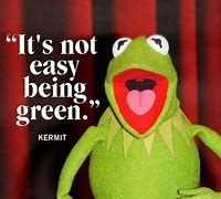 Image result for Kermit the Frog Famous Quotes