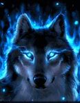 Image result for Galaxy Alpha Wolf Anime