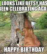 Image result for Horse Birthday Puns