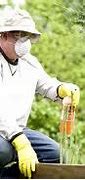 Image result for Honeycrisp Apple Tree Fertilizer