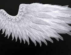 Image result for Head Angel Wings