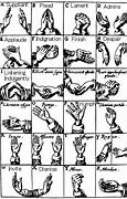 Image result for Five Body Senses Hand