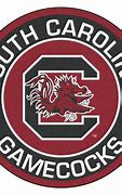 Image result for University of South Carolina Official Logo