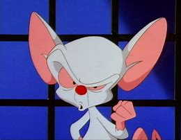 Image result for Pinky and the Brain Smiling