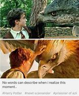 Image result for Fantastic Animals and Where to Find Them Meme