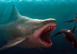 Image result for Biggest Prehistoric Shark