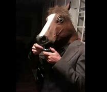 Image result for Horse Smoking Weed