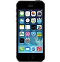 Image result for iPhone SE Starlight