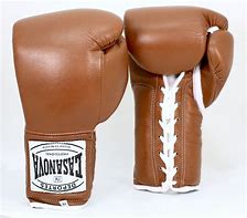Image result for boxing sparring gloves