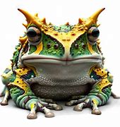 Image result for Suriname Horned Frog