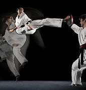 Image result for Martial Arts Books