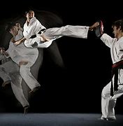 Image result for types of karate