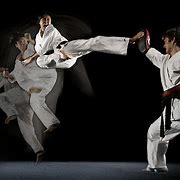 Image result for Martial Arts People