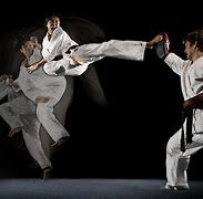 Image result for 5 Types of Martial Arts