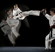 Image result for Best Martial Arts in the World