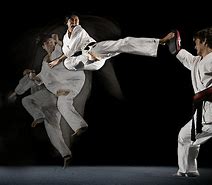 Image result for Martial Arts Icon Circle