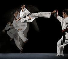 Image result for Martial Arts Philosophy Quotes