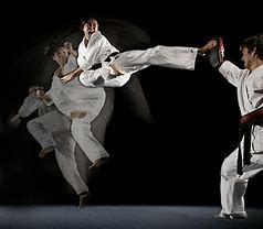 Image result for Martial Arts Action Poses