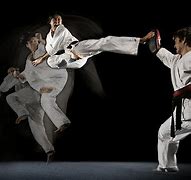 Image result for Types of Karate Kicks Aocc
