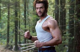 Image result for Angry Wolverine