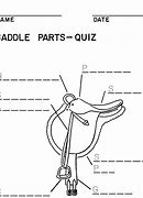 Image result for English Horse Riding Tack