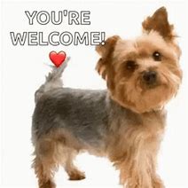 Image result for You Are Welcome Dog