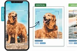 Image result for Visual Search Engine