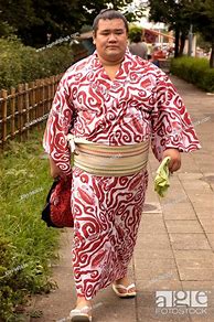 Image result for Sumo Referee Kimono